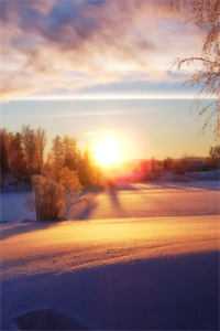 看病的帅医生，咋成我的空降BOSS了全篇