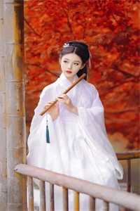 十里红妆入梦来完本