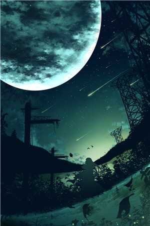 疯批！新婚王妃猛如虎，专治不服小说畅读