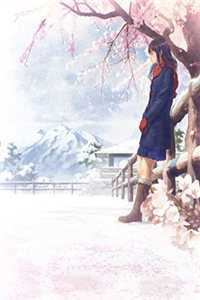 穿越古代，我在战场娶妻成瘾全文免费