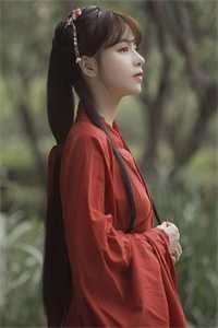 北城旧梦扰清风前文+番外