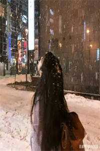 飞雁渡春秋几重畅销巨著