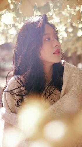 望断青山君不还霍砚琛付晚渔后续+完结