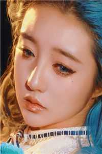 飞雁渡春秋几重全文+免费