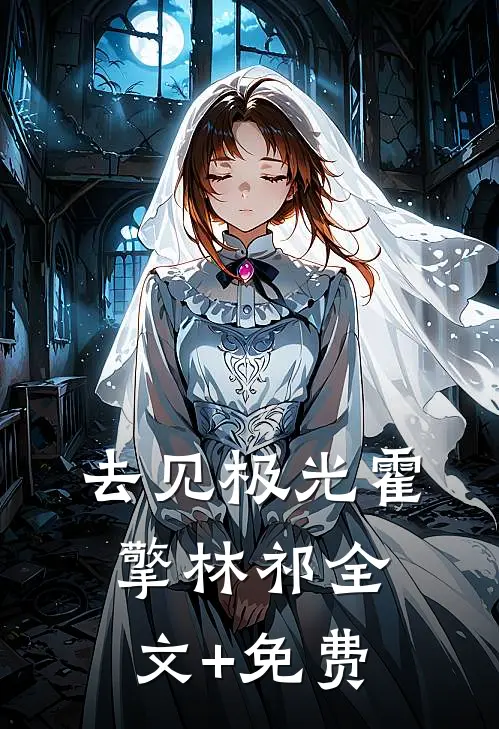 去见极光霍擎林祁全文+免费