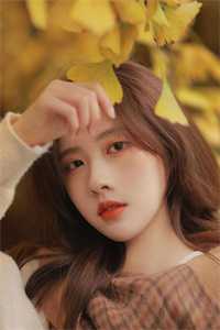 总裁别想和好了，前夫人已经再婚番外