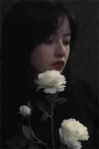 长风万里不递书精品推荐