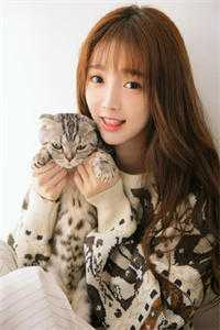 北风裁碎旧人梦姜薇沈墨前文+后续