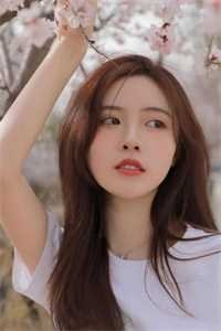 晚风消散后，才爱我全文免费