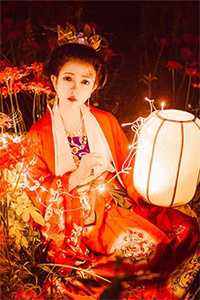 总裁别想和好了，前夫人已经再婚完本