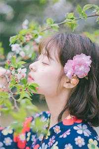 重生后，哥哥们悔疯了夏知遥夏星眠大结局