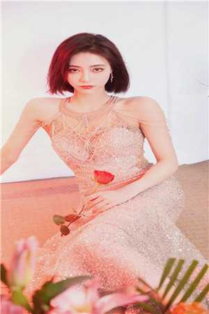 不再许你春朝全集