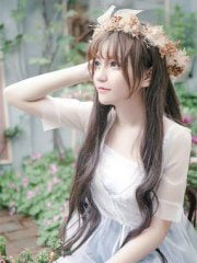 烟火纷纷照明月热门推荐