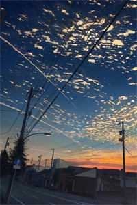 誓不为妾，世子爷的绝世恩宠热门