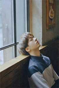 北城旧梦扰清风已完结版