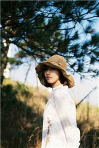 白露枝头复往春全文免费阅读