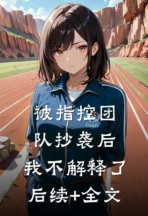 被指控团队抄袭后，我不解释了后续+全文