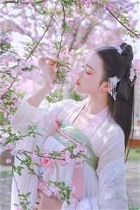 北城旧梦扰清风质量好文