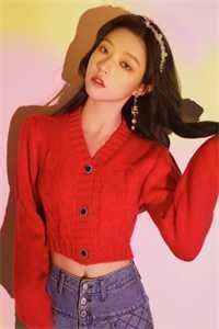 长风万里不递书傅恃明黎春夏大结局