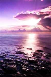 月落寒雾沉沉后续+无弹窗