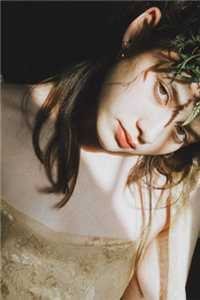 海棠花未眠简明月陆知秋结局+番外