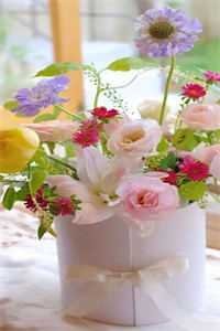 灰姑娘丢掉了她的水晶鞋优质全文阅读