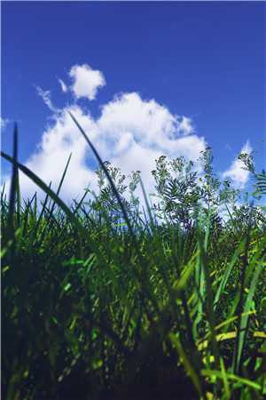 长风万里不递书笔趣阁