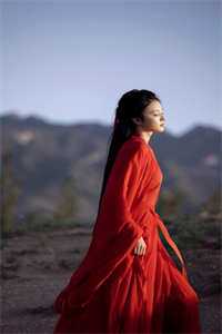 月寄相思雪覆痕后续+完结