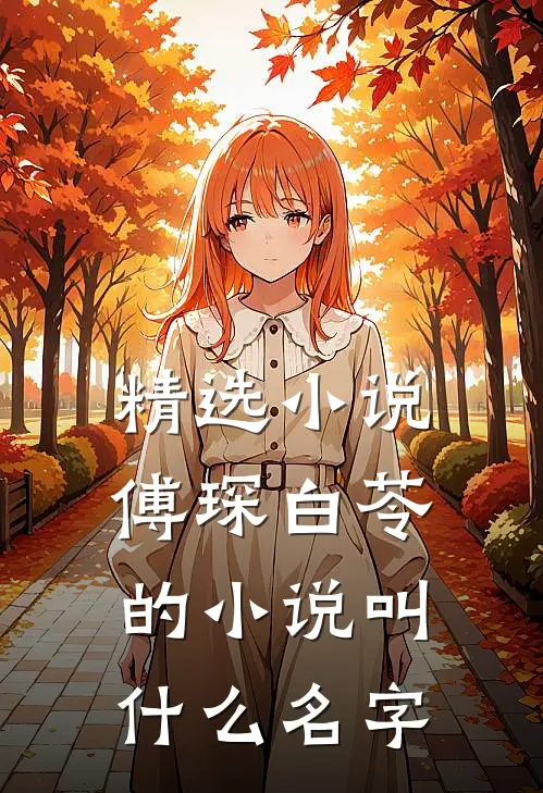 精选小说傅琛白苓的小说叫什么名字