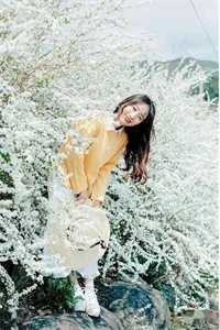 穿成反太子，开局十万大雪龙骑免费阅读