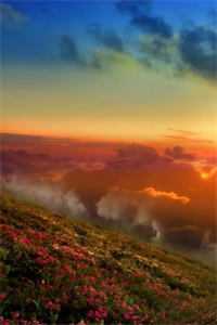 生锈的爱陆颜心苏泷小说