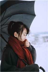 自此梨花空恨雪热门推荐