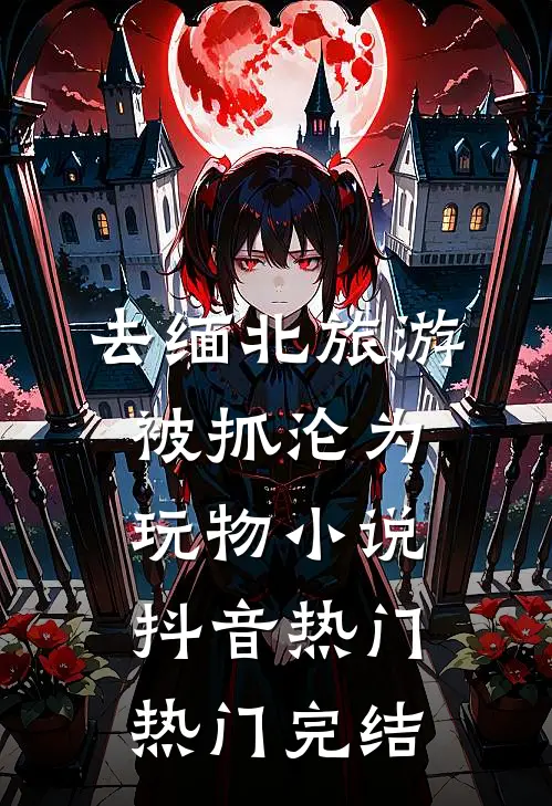 去缅北旅游被抓沦为玩物小说抖音热门热门完结