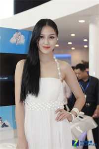 碎雪敲窗梦不成全章节