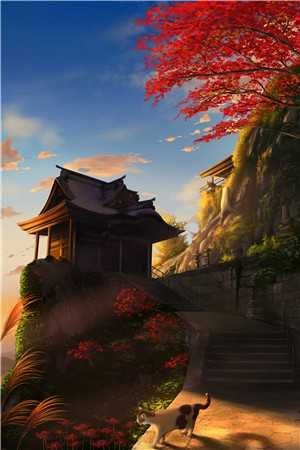 开民宿赔光家底，女友分手倒打一耙试读