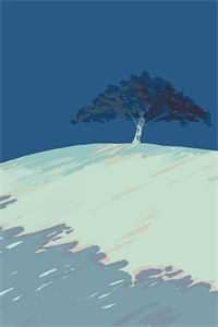 参加朋友婚礼，却发现新娘是我未婚妻程珂思沈飞大结局