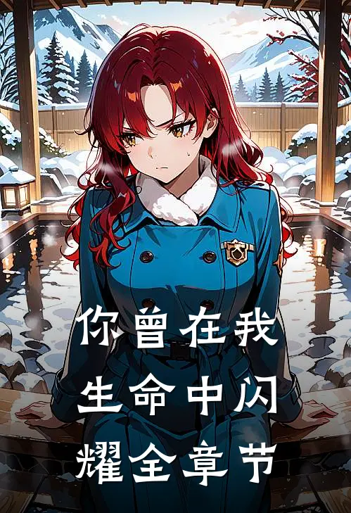 你曾在我生命中闪耀全章节概括