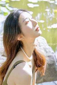 白露枝头复往春全文免费