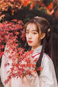 迟风不醒旧时月爽文