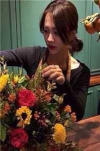 北城旧梦扰清风在线