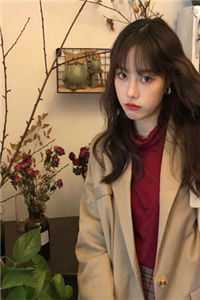 总裁别想和好了，前夫人已经再婚完结版