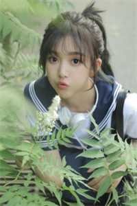 北城旧梦扰清风篇章