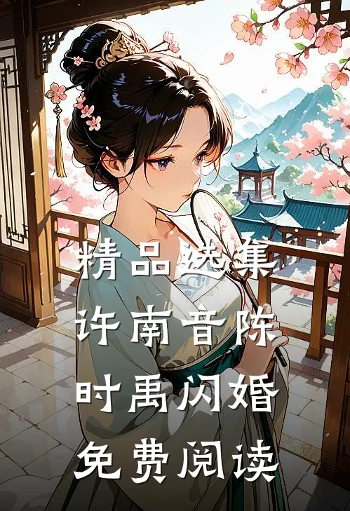 精品选集许南音陈时禹闪婚免费阅读