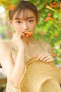 北城旧梦扰清风火爆小说