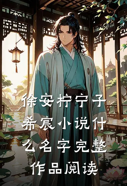 徐安柠宁子希宸小说什么名字完整作品阅读