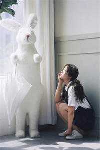 忽有故人心上过后续+完结