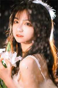 飞雁渡春秋几重在线阅读全本阅读