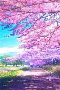 公交车上给50岁孕妇让座，我成了他肚子里四胞胎儿子爹好书