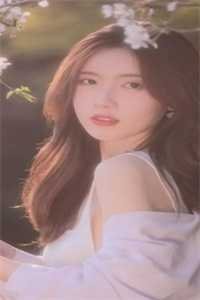 丁克六年后，我离婚了后续+无弹窗