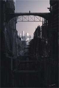 爱恨迟暮一叶秋未删节